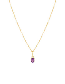 Picture of Luna Rae Amethyst Necklace